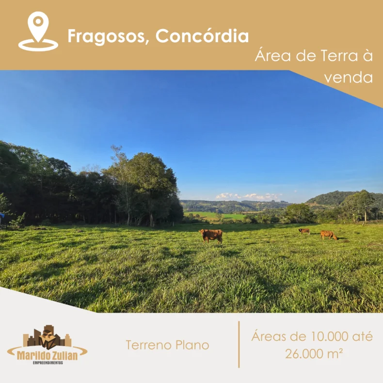 Terreno Plano à Venda em Fragosos! 