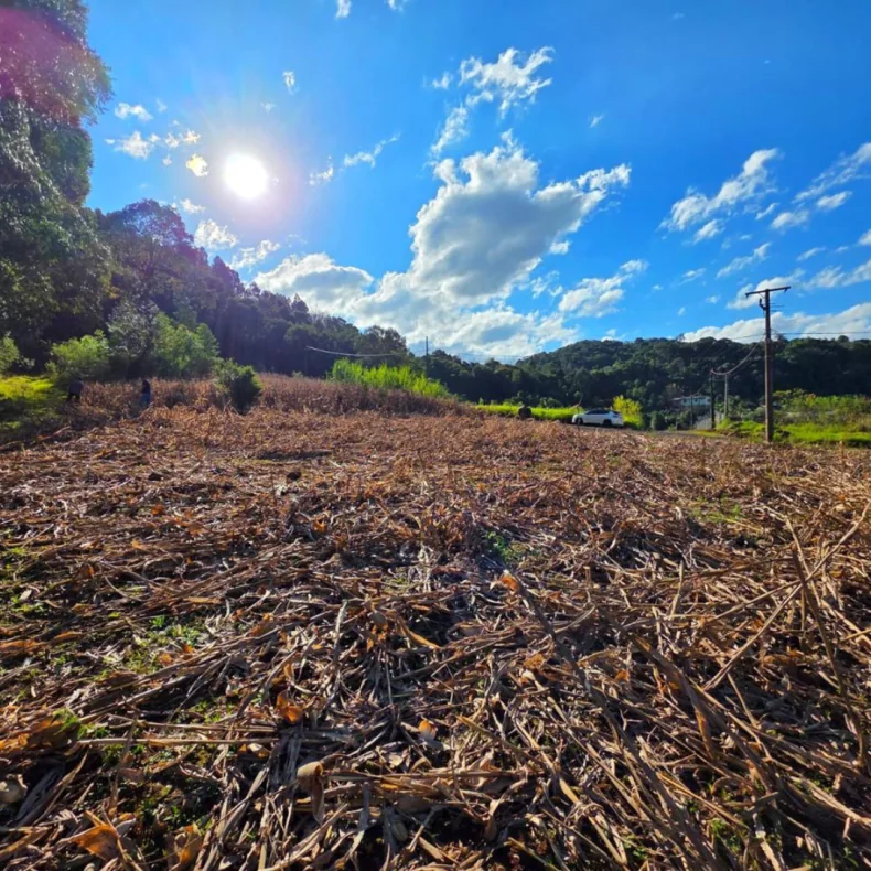  Terreno à venda na Vila Jacob Biezus!